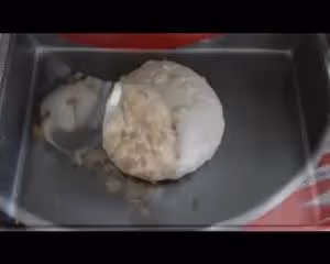 全麥核桃紅棗軟歐