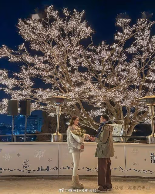 「TVB拜金港姐」同屆佳麗宣布結婚!未婚夫敦厚老實 曾被兩前男友爆出軌背叛