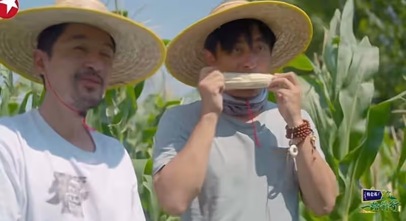 《一路前行2》好治癒,劉濤胡歌的環保之旅再次啟程