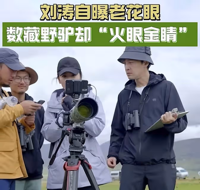 《一路前行2》好治癒,劉濤胡歌的環保之旅再次啟程
