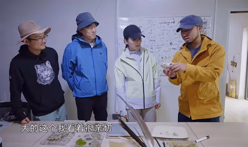 《一路前行2》好治癒,劉濤胡歌的環保之旅再次啟程