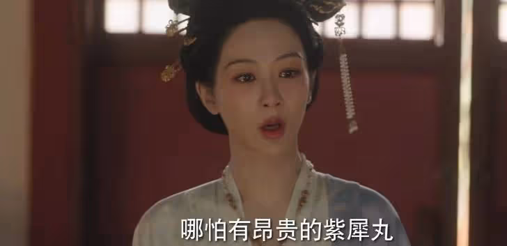《國色芳華》:這才花鳥使蔣長揚,幫何惟芳和離的真相
