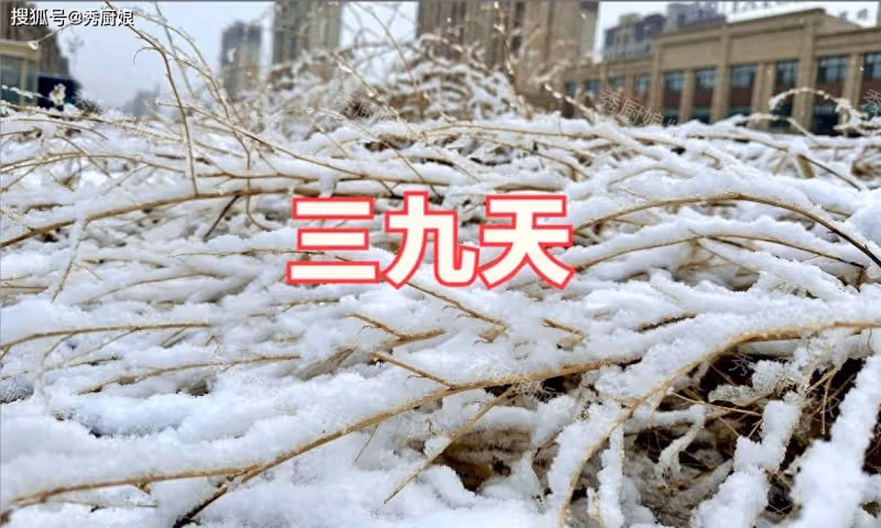 三九天,再忙也要記得「吃2樣,做1事」暖身又暖胃,冬天不怕冷!