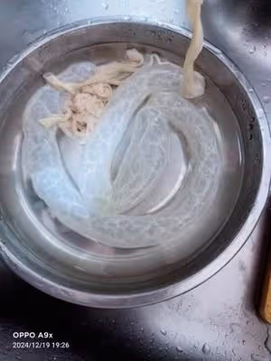 自製脆皮糯米腸
