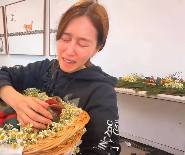 一路走好!TVB知名女星陪伴16年愛貓離世,情緒失控在鏡頭前大哭