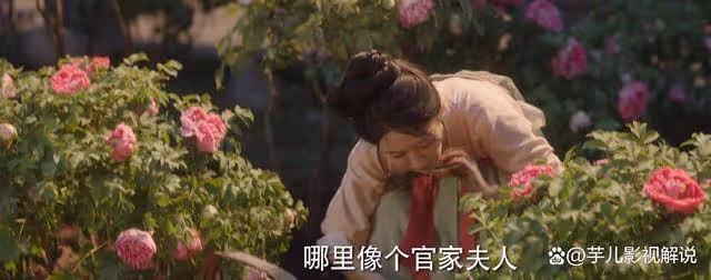 《國色芳華》連看8集,女性內核強大,反套路太絕了!
