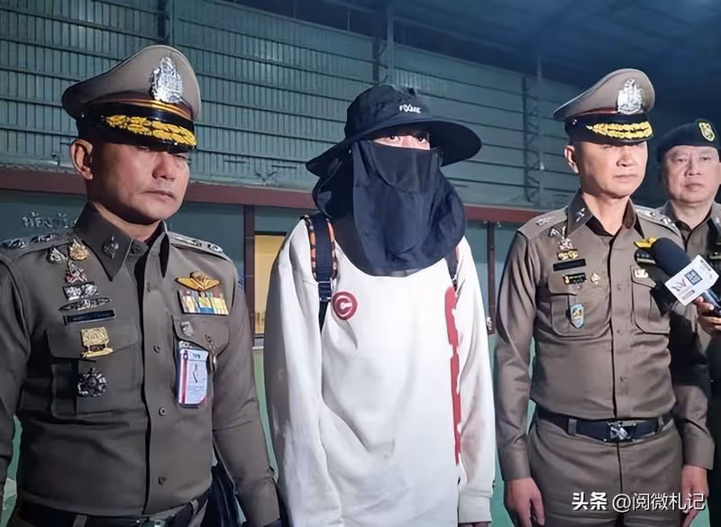 越扒越深,泰國每天賣掉近200中國人,他們為何敢如此肆無忌憚?