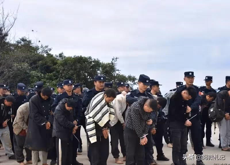 越扒越深,泰國每天賣掉近200中國人,他們為何敢如此肆無忌憚?