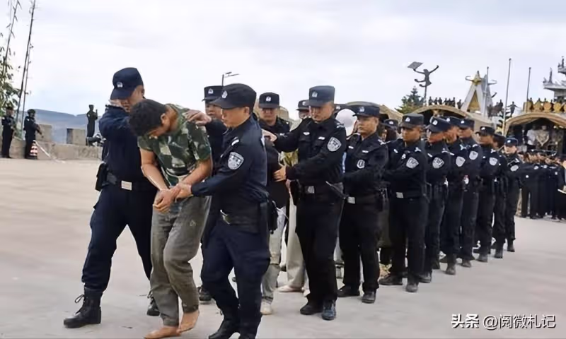 越扒越深,泰國每天賣掉近200中國人,他們為何敢如此肆無忌憚?