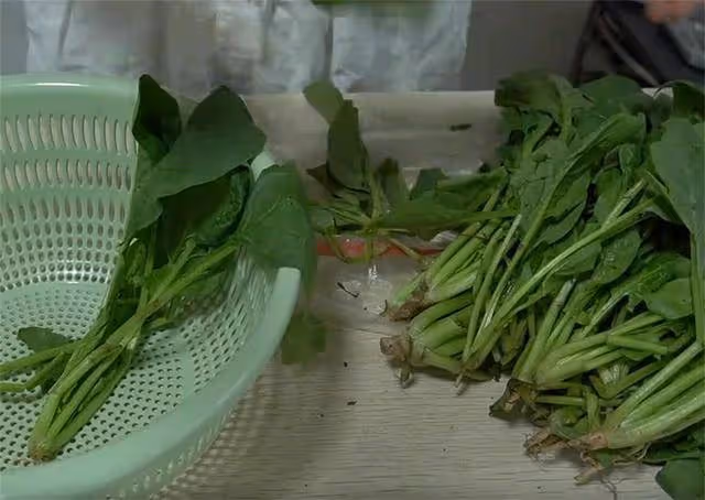 寶寶不愛吃蔬菜,教你一個小妙招,不燉也不炒,孩子吃得很開心