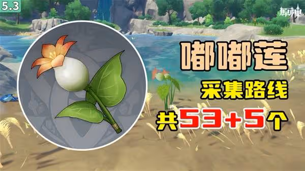 《原神》嘟嘟蓮採集路線一覽