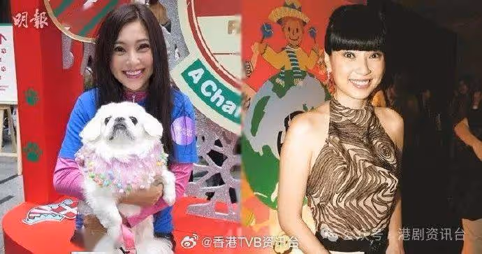 傅明憲投入動保工作20年 想拍拖公開擇偶條件