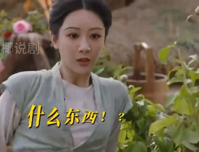 國色芳華：蔣長揚金屋藏嬌，皇上奇心爆滿，立馬翻牆而入