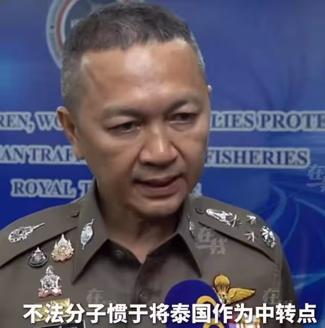 拔出蘿蔔帶出泥!王星只是其中一員,為緬北宣傳的他才是蛀蟲!