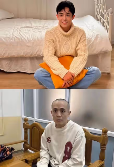 拔出蘿蔔帶出泥!王星只是其中一員,為緬北宣傳的他才是蛀蟲!