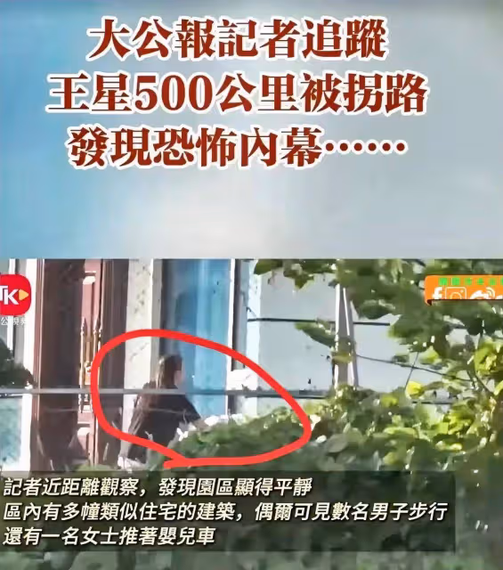 香港記者太勇了!重走王星500公里被拐路,航拍園區內女子推嬰兒