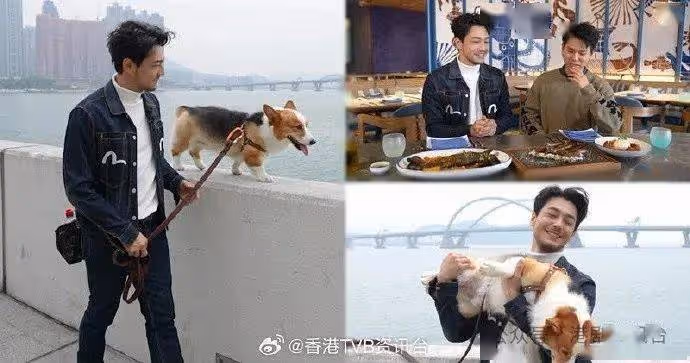 林愷鈴學鉤織手作獲甘比贊有天分!栢天男獲授廚藝曾任二鑊