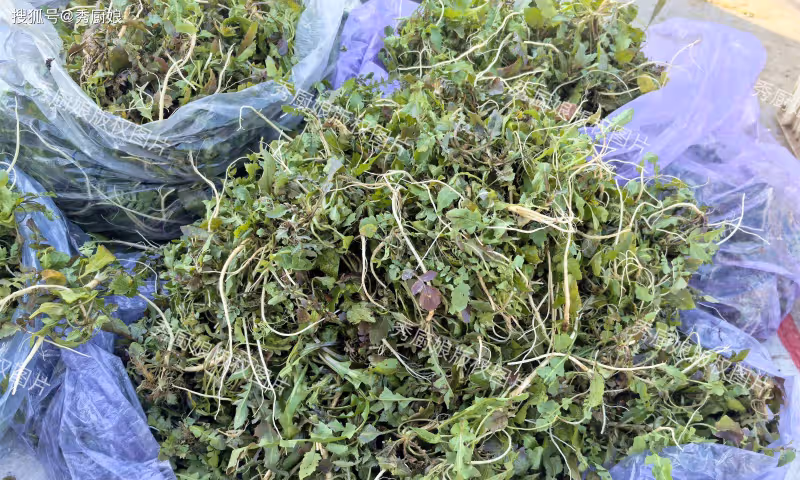 中國十大長壽食物,紅薯排第三,第一很多人都想不到,快來了解下