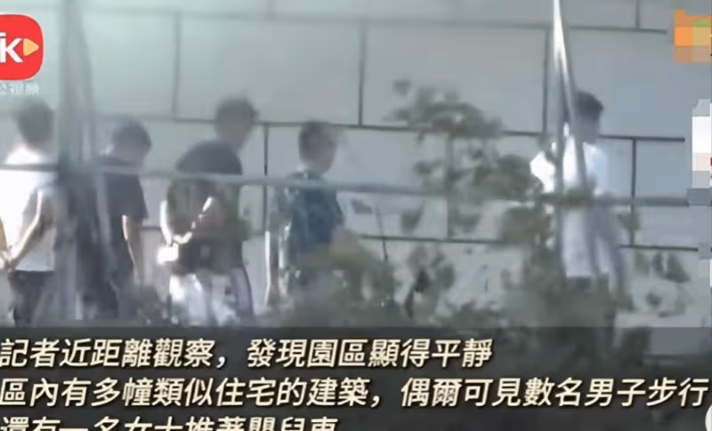 這個記者太猛了!重走王星被騙之路,曝光細節,電騙園正趕工擴建