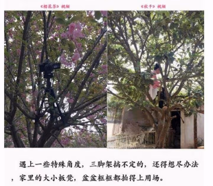 李子柒為什麼不被資本喜歡?看看她在微博之夜的發言,就全明白了