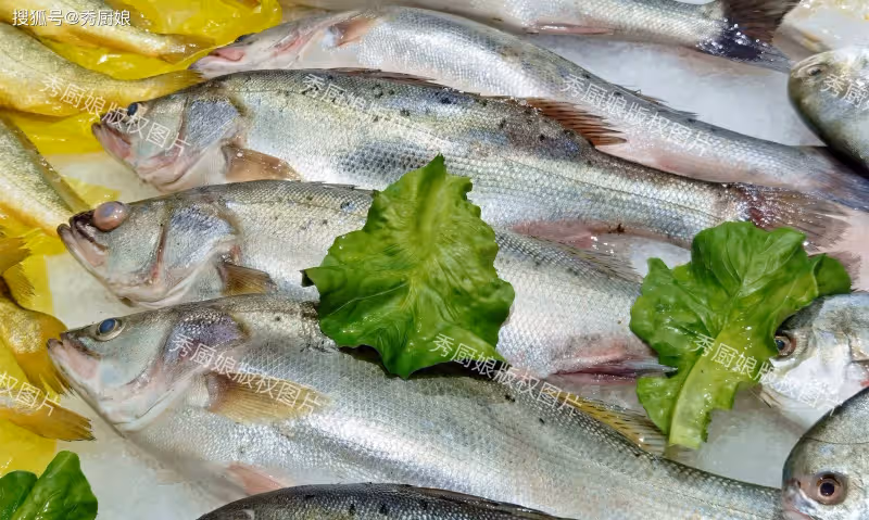 冬天買魚,這3種魚全是野生海魚,肉質鮮嫩營養高,關鍵還不貴!
