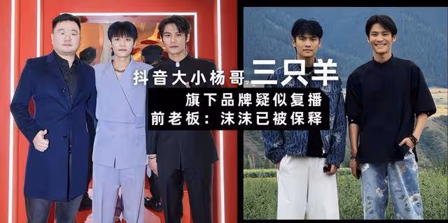 小楊哥消失三個多月，三隻羊疑有新動靜？前老闆爆料：沫沫已被保釋