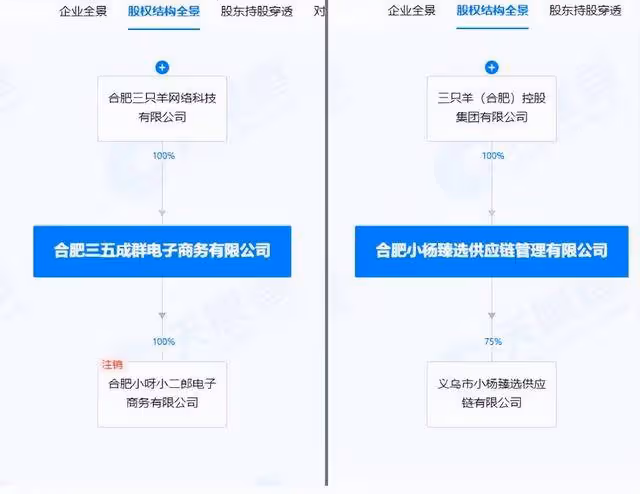 小楊哥消失三個多月，三隻羊疑有新動靜？前老闆爆料：沫沫已被保釋