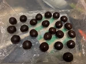 放3天也一樣柔軟的豆沙小餐包，好吃到哭