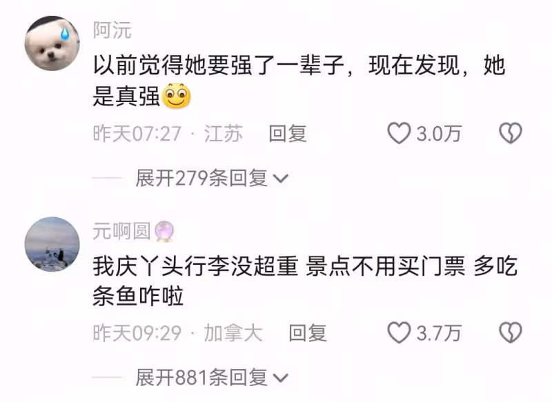 《一路繁花》一個火了,一個塌房了?