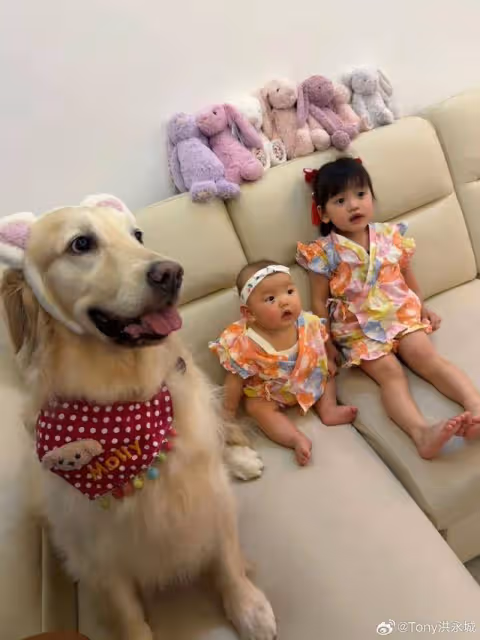 TVB小生八個月大女兒眼角貼膠布引擔憂,妻子曝光原因揭露內情