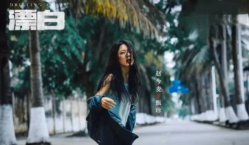 一口氣追了5集《漂白》,我知道石畢把駕駛證藏在現場的真相了