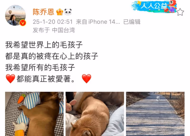 陳喬恩為去世「艾特」發聲！怒斥潘宏為熱度謀殺，呼籲不要虐動物