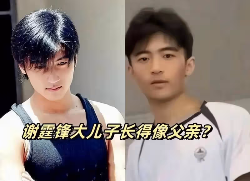張柏芝小兒子謝振南正面照曝光,顏值比大哥還帥!結合了父母基因