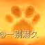 《原神》海燈節煙花筒位置分享
