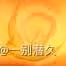 《原神》海燈節煙花筒位置分享