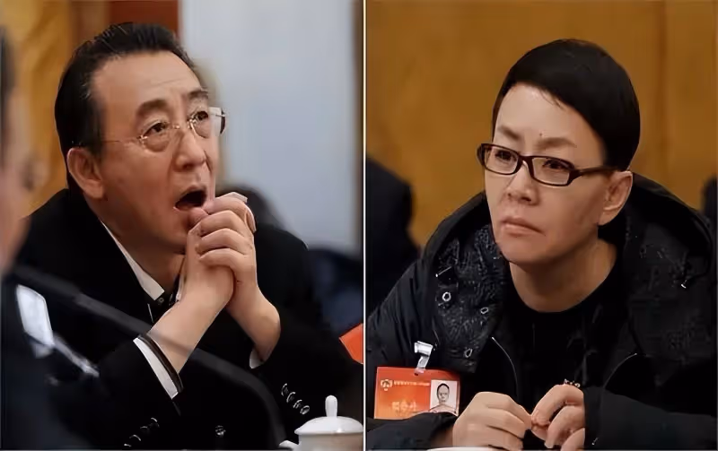宋丹丹慶64歲大壽,眾星雲集道賀,姜妍夫婦到場,連張一山也來了