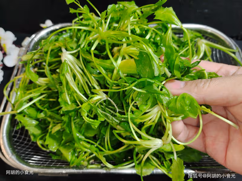 雞湯、骨湯不如喝這湯!天冷「搶鮮」煮一鍋,肉嫩湯鮮、滿口新鮮好味,熱氣騰騰一掃而光