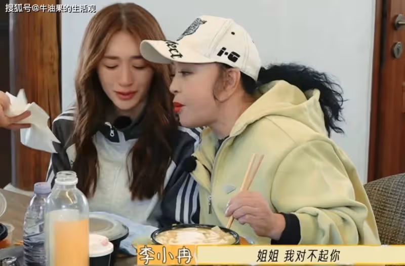 劉曉慶與妹妹一家決裂,深陷5個官司首次公開自己的身世,倪萍一句話讓她破防