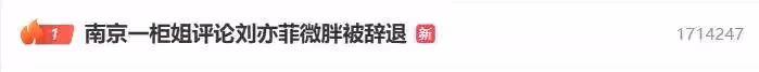 熱搜第一！南京一櫃姐評論劉亦菲微胖被辭退，品牌方回應