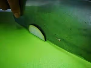 燈籠茄子