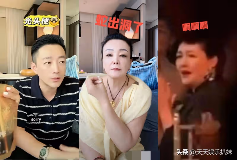 大S帶娃赴韓讓汪家母子出醜,張蘭三連擊真解氣,汪小菲也開竅了