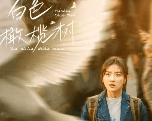 《白色橄欖樹》是真實事件改編的嗎?李瓚宋冉真實存在嗎