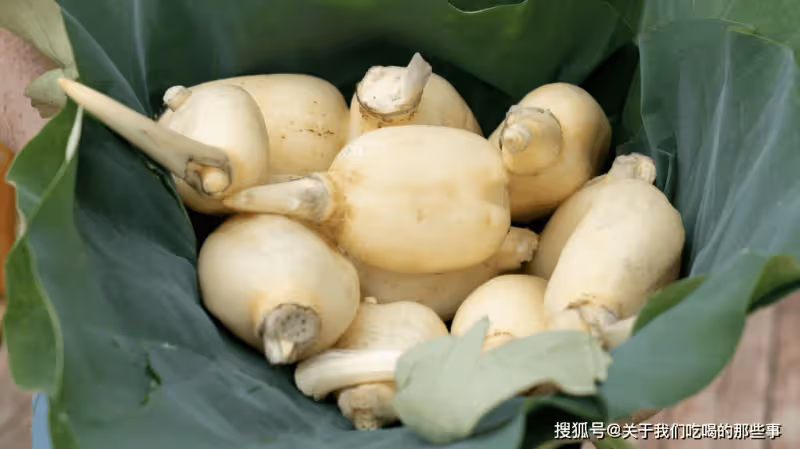 買蓮藕時,要分清7孔和9孔,學會這4個辨別方法,老闆也誇你內行