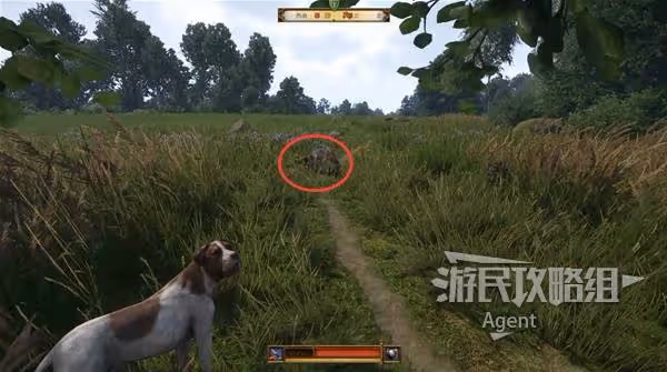 《天國:拯救2》支線任務猛禽攻略