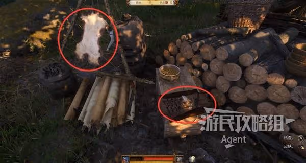《天國:拯救2》支線任務猛禽攻略