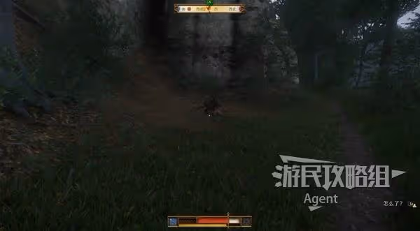 《天國：拯救2》支線任務呆呆攻略