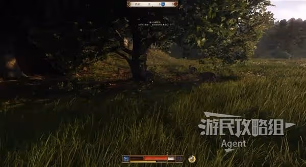 《天國:拯救2》支線任務跟班攻略