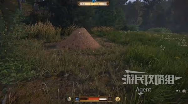 《天國:拯救2》支線任務跟班攻略