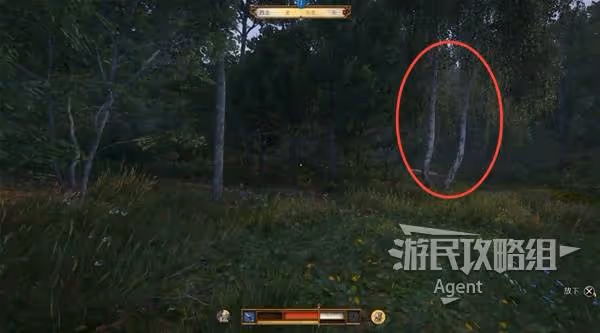 《天國:拯救2》支線任務跟班攻略
