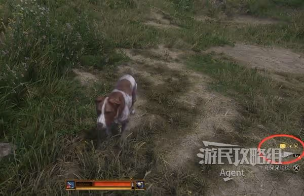 《天國:拯救2》支線任務呆呆攻略